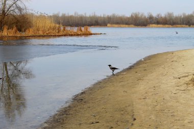 Karga Nehri yakınında
