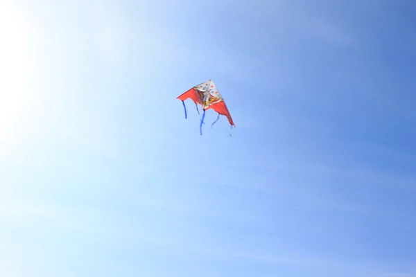 Kite in the sky — Stock Photo, Image