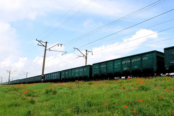 Een goederentrein — Stockfoto