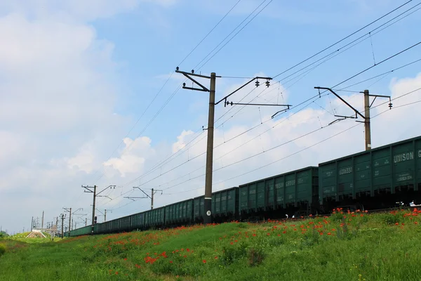 Un train de marchandises — Photo