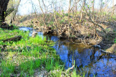 Bahar küçük nehir 