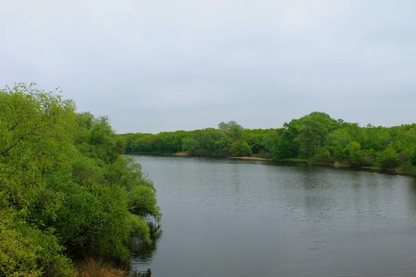 Fiume Psyol in Ucraina — Foto Stock