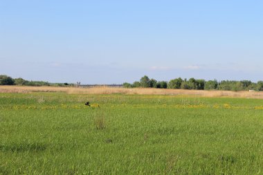 manzara güzel bahar