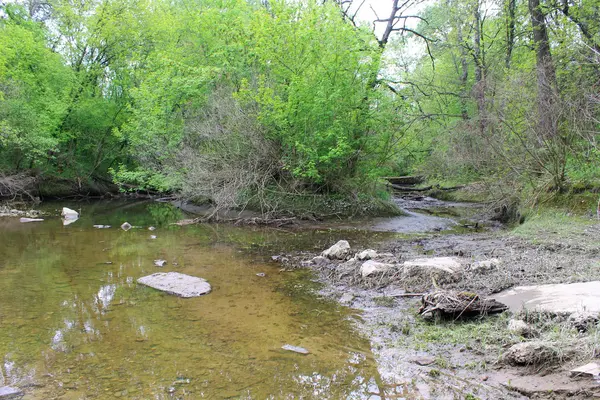 River in forest — Stock Photo, Image