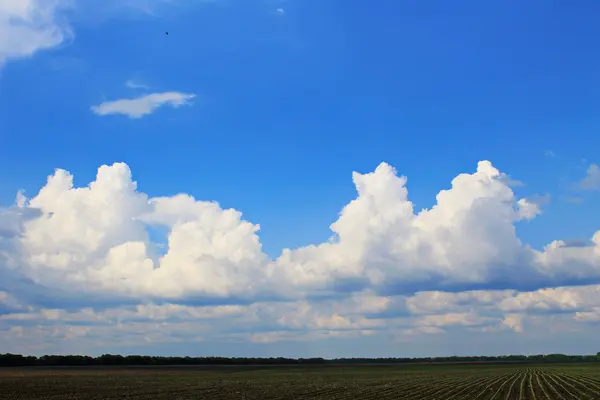 Nuvens brancas fofas sobre um campo — Fotografia de Stock