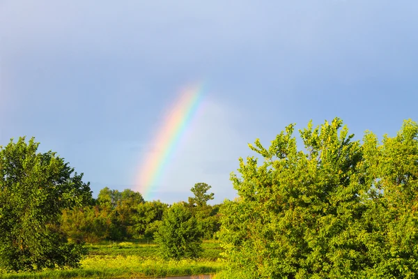 gökkuşağı ile kırsal manzara