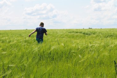 Yeşil buğday sahada çalışan mutlu çocuk