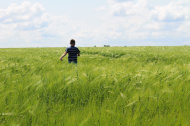 Yeşil buğday sahada çalışan mutlu çocuk