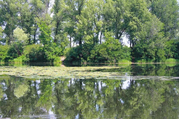 夏天美丽的湖面 — 图库照片
