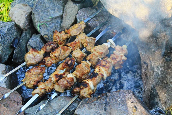 Shish kebab sur le feu de joie — Photo