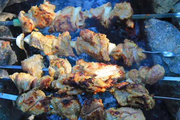 Shish kebab en hoguera — Foto de Stock