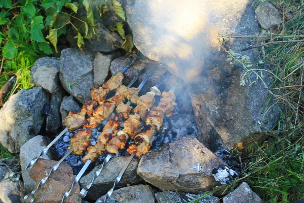 Shish kebab sur le feu de joie — Photo