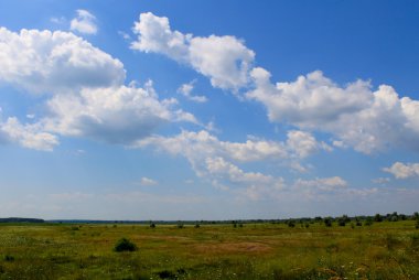 Geniş çayır ve mavi gökyüzü