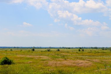 Geniş çayır ve mavi gökyüzü