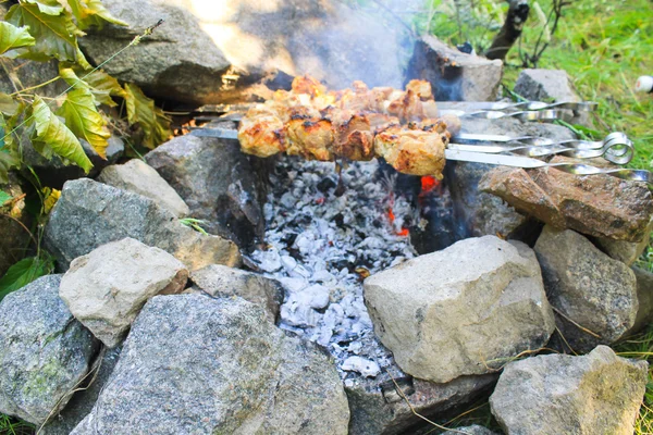 Bir şenlik ateşi üzerinde şiş kebap — Stok fotoğraf