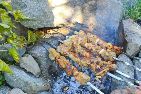 Shish kebab na ognisko — Zdjęcie stockowe