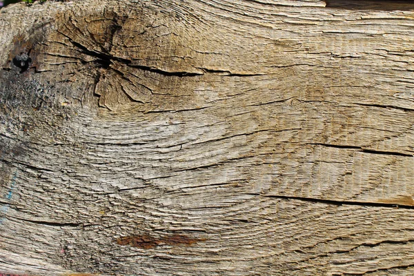Το ξύλινο υφή — Φωτογραφία Αρχείου
