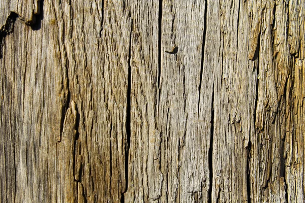 木製のテクスチャ — ストック写真