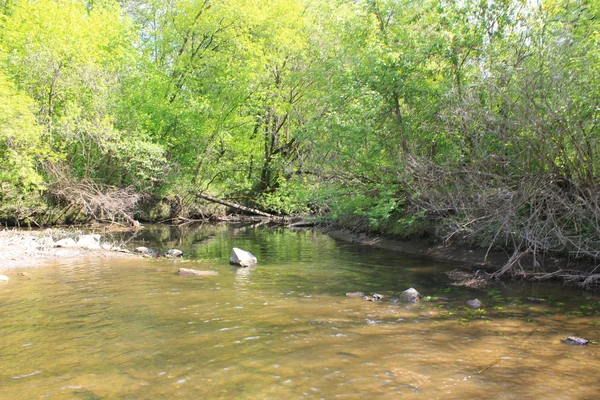 Rivier in het bos — Stockfoto