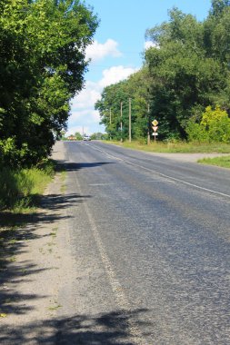 Asfalt yol ağaçlar satırları lider 