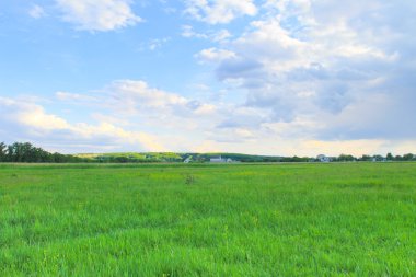 yeşil çayır ve mavi gökyüzü