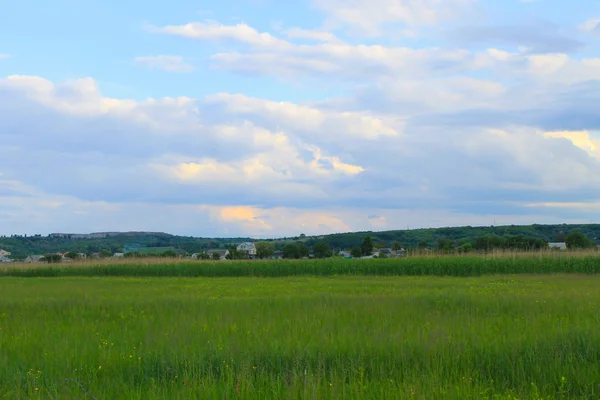 Green meadow and blue sky — Stock Photo, Image