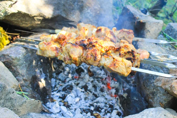 Shish kebab na fogueira — Fotografia de Stock