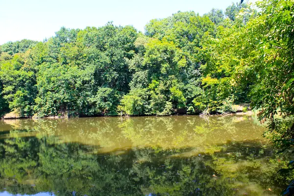 Lago na floresta — Fotografia de Stock