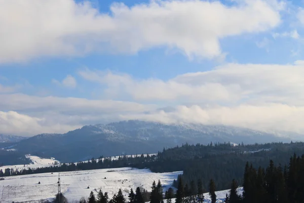 Montagnes des Carpates en Ukraine — Photo