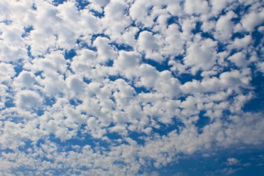 Many small fluffy clouds in blue sky clipart