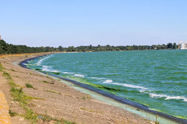 Eau verte en floraison dans le réservoir sur la rivière Dniepr — Photo