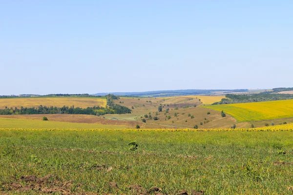 Пейзаж з полями і пагорбами — стокове фото