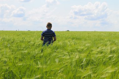 Yeşil buğday sahada çalışan mutlu çocuk