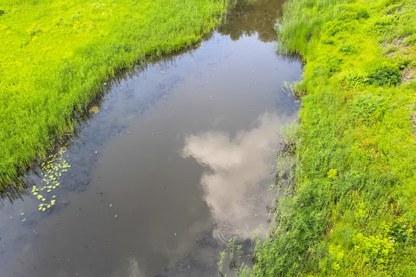 River with reeds on the shore — Stock Photo, Image