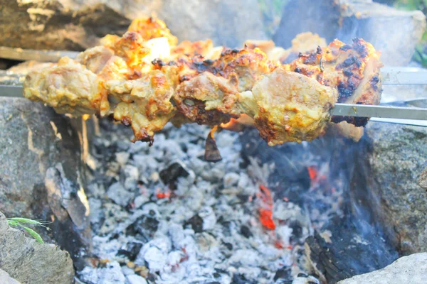 Shish kebab sur le feu de joie — Photo