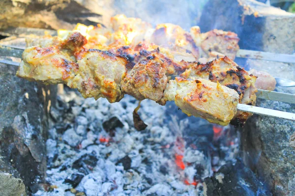 Shish kebab na ognisko — Zdjęcie stockowe