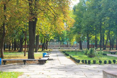 güzel sonbahar ağaçlar Şehir Parkı 