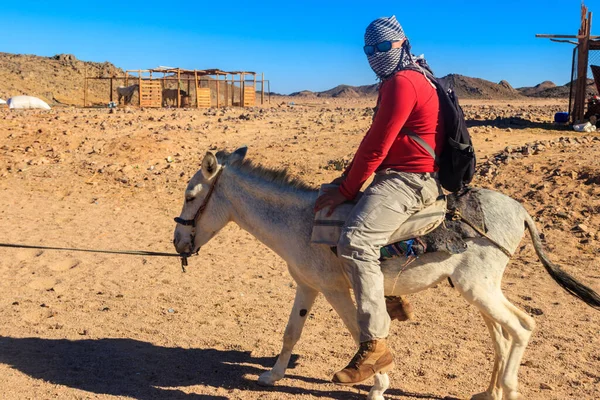 Touristen Reiten Auf Einem Esel Der Arabischen Wüste Ägypten — Stockfoto
