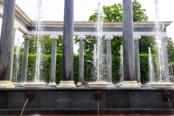 Fountain Lion Cascade Lower Park Peterhof Saint Petersburg Russia — Stock fotografie