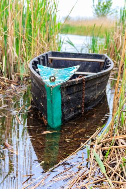 Nehir kıyısındaki sazlıkta eski ahşap bir tekne