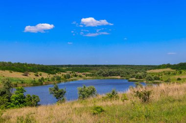 Güzel gölü olan yaz manzarası, yeşil çayırlar, tepeler, ağaçlar ve mavi gökyüzü.