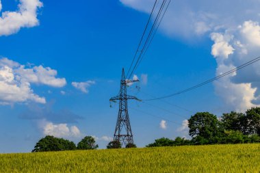 Yeşil buğday tarlasında yüksek voltaj güç kulesi