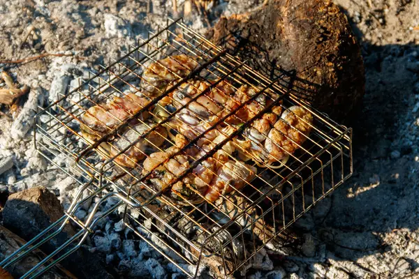 Ψήσιμο Φέτες Γατόψαρου Φορητή Σχάρα Μπάρμπεκιου Στη Φωτιά — Φωτογραφία Αρχείου