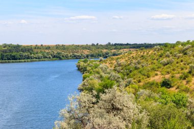 Güzel bir nehir, yeşil ağaçlar ve mavi gökyüzü olan yaz manzarası
