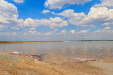 Ukrayna 'nın Kherson bölgesinde bir tuz gölü (istiridye) görüntüsü