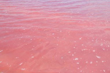 Ukrayna 'nın Kherson bölgesindeki pembe tuzlu Syvash gölünün yüzeyi. Doğal arkaplan, doku