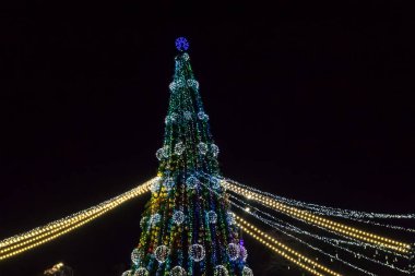 Geceleyin çok renkli ışıklarla süslenmiş Noel ağacı