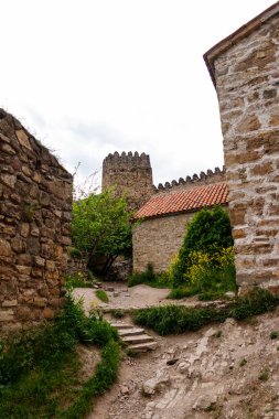 Gürcistan 'ın Kafkasya dağlarındaki Aragvi Nehri' ndeki Ananuri kalesi kompleksi