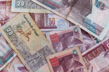 Farklı Mısır banknotlarının arkaplanı. Mısır para birimi