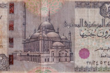 20 Mısır sterlininin makro çekimi.